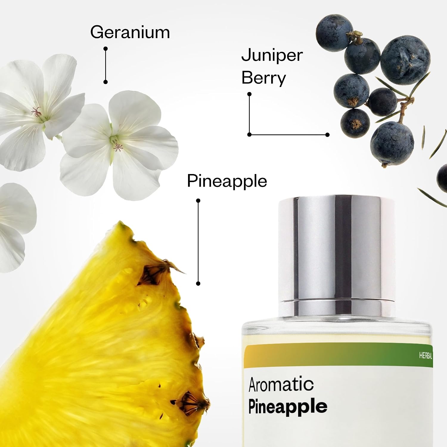 Dossier - Aromatic Pineapple - Eau de Parfum - Inspired by Y - Long-Lasting Fragrance - Masculine - 1.7 fl oz (50ml)