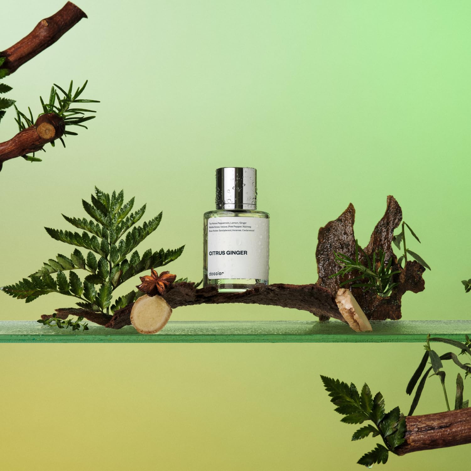 Dossier - Citrus Ginger - Eau de Parfum - Inspired by Bleu de Chanel - Long-Lasting Fragrance - Masculine - 1.7 fl oz (50ml)