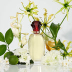 Paul Sebastian Design Perfume for Women, Day & Night Soft Floral Fragrance Spray, 3.4 fl oz